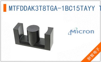 MTFDDAK3T8TGA-1BC15TAYY TR