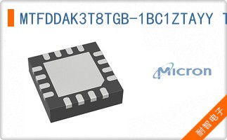 MTFDDAK3T8TGB-1BC1ZTAYY TR