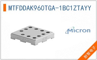 MTFDDAK960TGA-1BC1ZTAYY