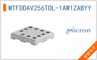 MTFDDAV256TDL-1AW1ZABYY