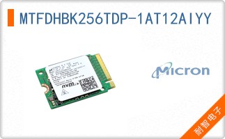 MTFDHBK256TDP-1AT12AIYY