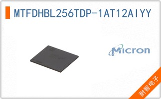 MTFDHBL256TDP-1AT12AIYY