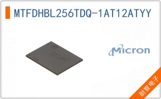 MTFDHBL256TDQ-1AT12ATYY