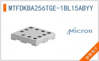 MTFDKBA256TGE-1BL15ABYY