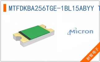 MTFDKBA256TGE-1BL15ABYY TR