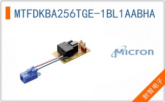 MTFDKBA256TGE-1BL1AABHA