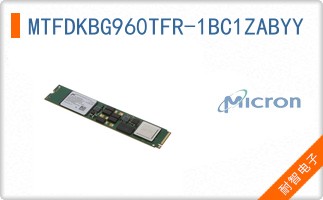 MTFDKBG960TFR-1BC1ZABYY