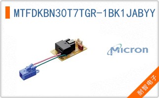 MTFDKBN30T7TGR-1BK1JABYY