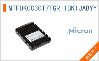 MTFDKCC30T7TGR-1BK1JABYY