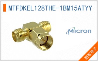 MTFDKEL128THE-1BM15ATYY