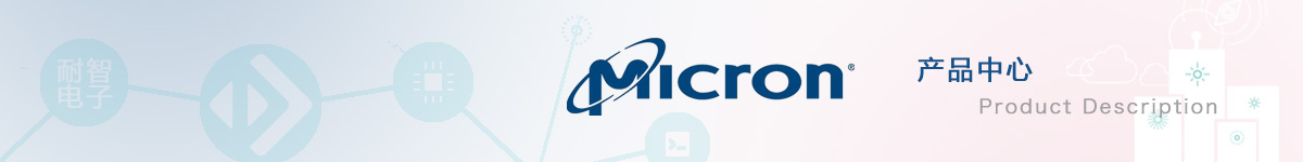 美光(Micron)具有代表性的产品